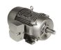 Siemens 1LE22213CB216AA3 Motor
