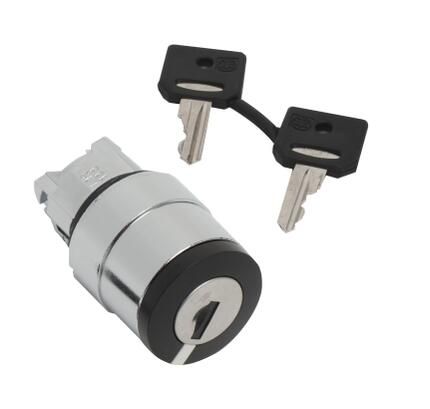 Schneider Electric ZB4BG020 Selector