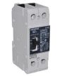 Siemens NGG2B040L Breaker