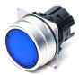 OMRON A22NZBGAURA Button