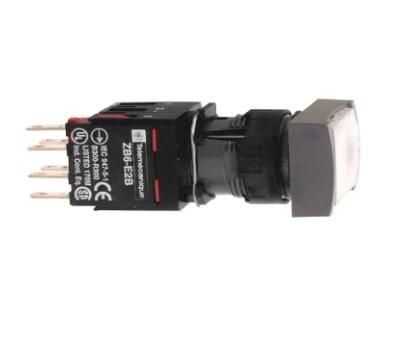 Schneider Electric XB6DF1B1B Pushbutton
