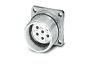 Phoenix Contact 1619955 Connector