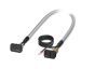 Phoenix Contact 2299071 Cable