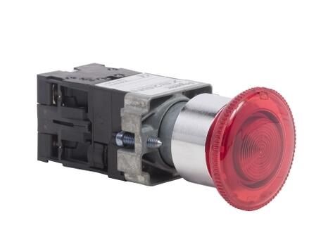 Schneider Electric XB2BN416124V Switch