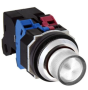 IDEC ALD224602DNUW Device