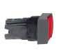 Schneider Electric ZB6CA4 Button