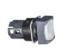 Schneider Electric ZB6CW1 Button