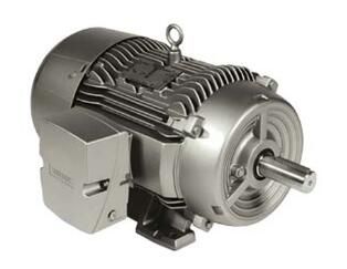 Siemens 1LE22212BA114GA3 Motor