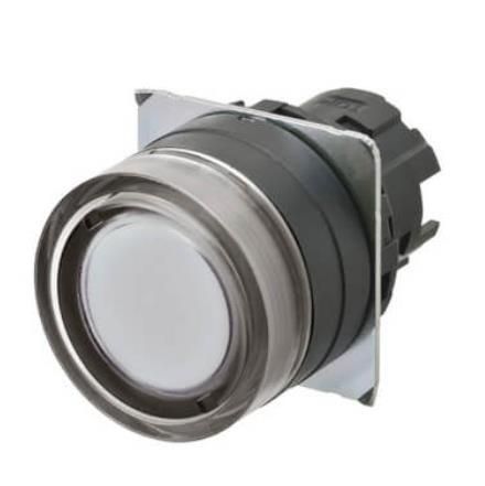 OMRON A22NZ-BGM-TWA Device