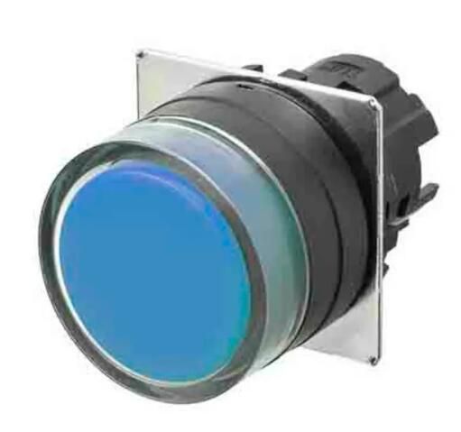 OMRON A22NZBGMNAA Button