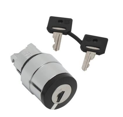 Schneider Electric ZB4BG314 Selector