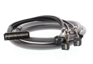 OMRON P2RV4200C Cable