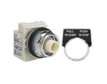 Schneider Electric 9001KR9P7 Button