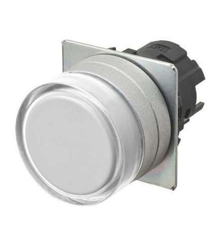 OMRON A22NZMGMNWA Button
