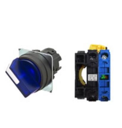 OMRON A22NW-2BL-TAA-G100-AC Device