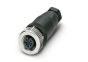 Phoenix Contact 1681127 Cable