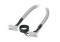Phoenix Contact 2304555 Cable