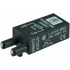 Telemecanique RXM021FP Protection Module