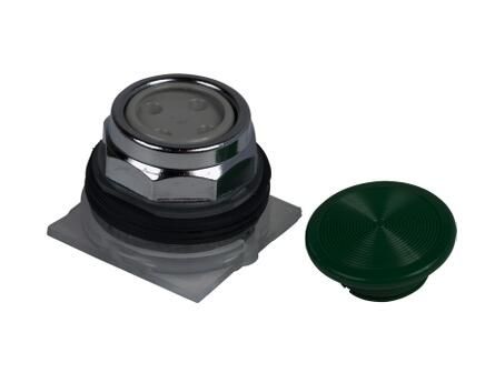 Schneider Electric 9001KR4G Button