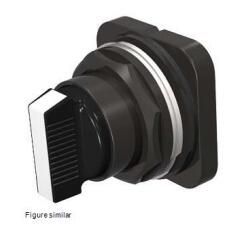 Siemens 52SX2GAB Switch