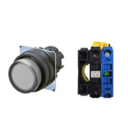 OMRON A22NL-BPM-TWA-G100-WB Device