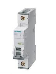 Siemens 5SY4102-8 Breaker