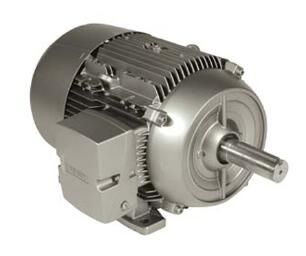 Siemens 1LE21212BB114AA3 Motor