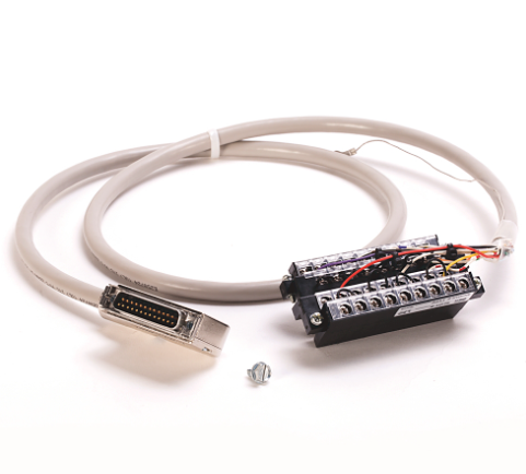 Allen Bradley 1492-ACAB010EA69 Device