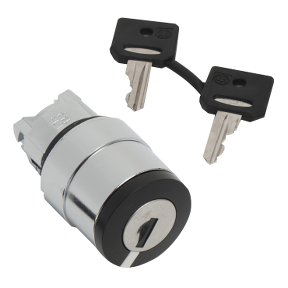 ZB4BG614 Key Selector-Schneider Electric
