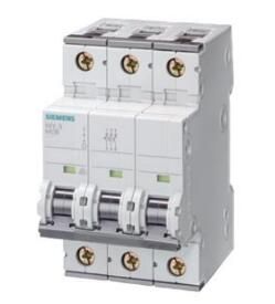 Siemens 5SY63106 Breaker