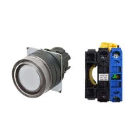OMRON A22NL-BGA-TWA-G100-WC Device