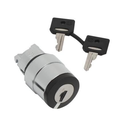 Schneider Electric ZB4BG120 Selector