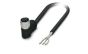 Phoenix Contact 1407308 Cable