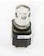 Allen Bradley 800HLQPT24R Pilot