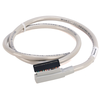 Allen Bradley 1492-CABLE010N3 Device