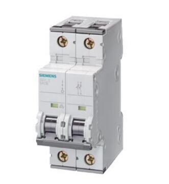 Siemens 5SY42068 Breaker