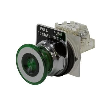 Schneider Electric 9001KR9GH13 Button