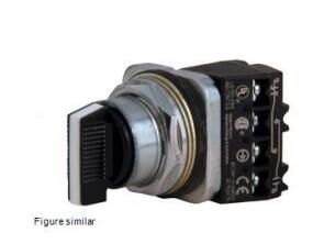 Siemens 52SA2CABA1 Switch