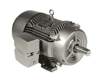 Siemens 1LE22211CB314EA3 Motor