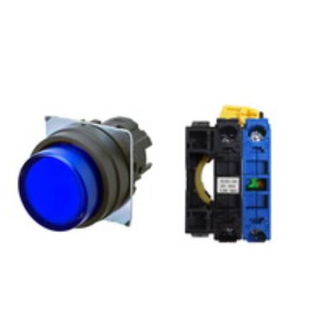 OMRON A22NL-BPM-TAA-G100-AD Device