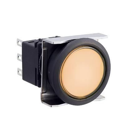 IDEC LBW6L-M1T24W Device