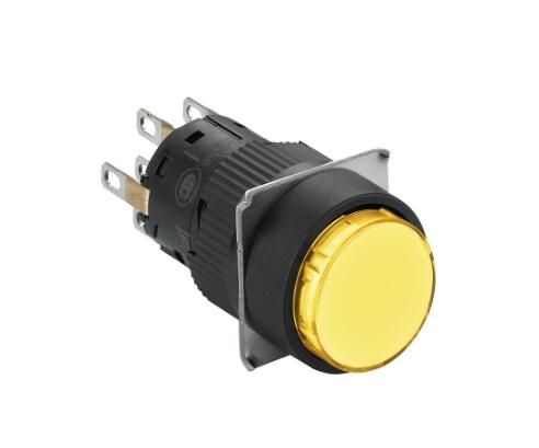 Schneider Electric XB6EAF5J2P IPB