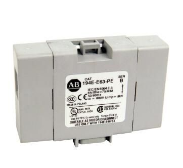 Allen Bradley 194E-E63-PE Device
