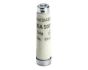 Siemens 5SA221 Fuse