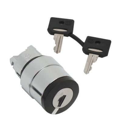 Schneider Electric ZB4BG310 Selector