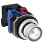 IDEC ALD248602DNUW Device