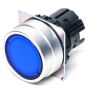 OMRON A22NZBGANRA Button