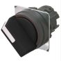 OMRON A22NZ-MNM-NRA Button