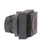 Schneider Electric ZB5CL2 Button