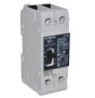 Siemens NGG2B125L Breaker